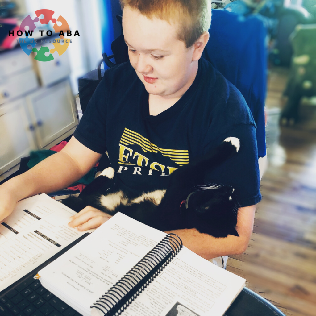 boy with cat, boy doing homework
